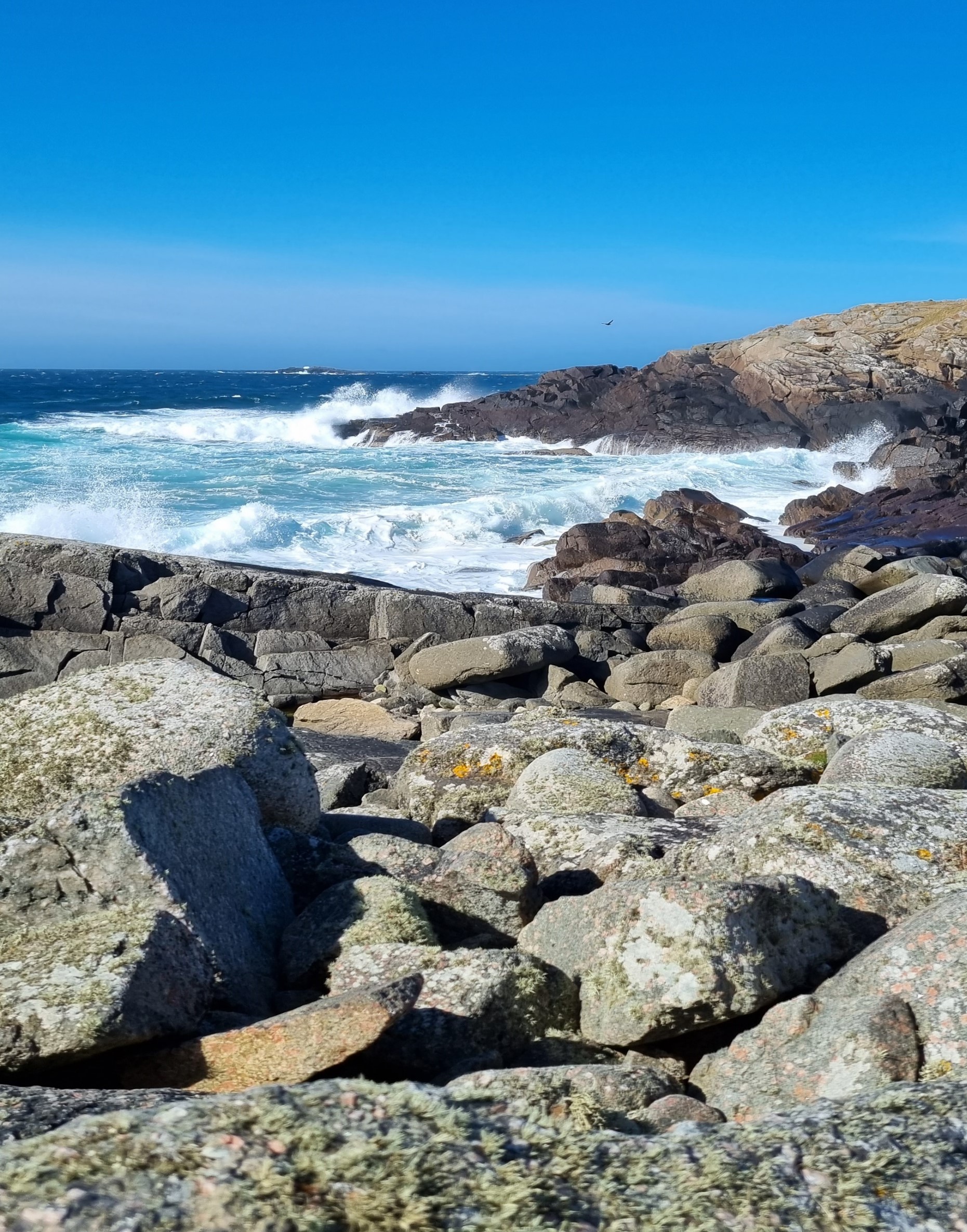 Local Voices Lead the Way in Shetland’s Vision for Healthier Seas