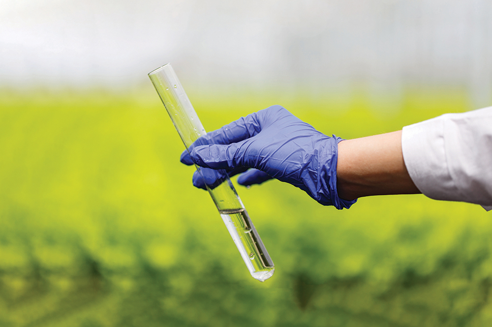 Test tube with water in it held by a gloved hand