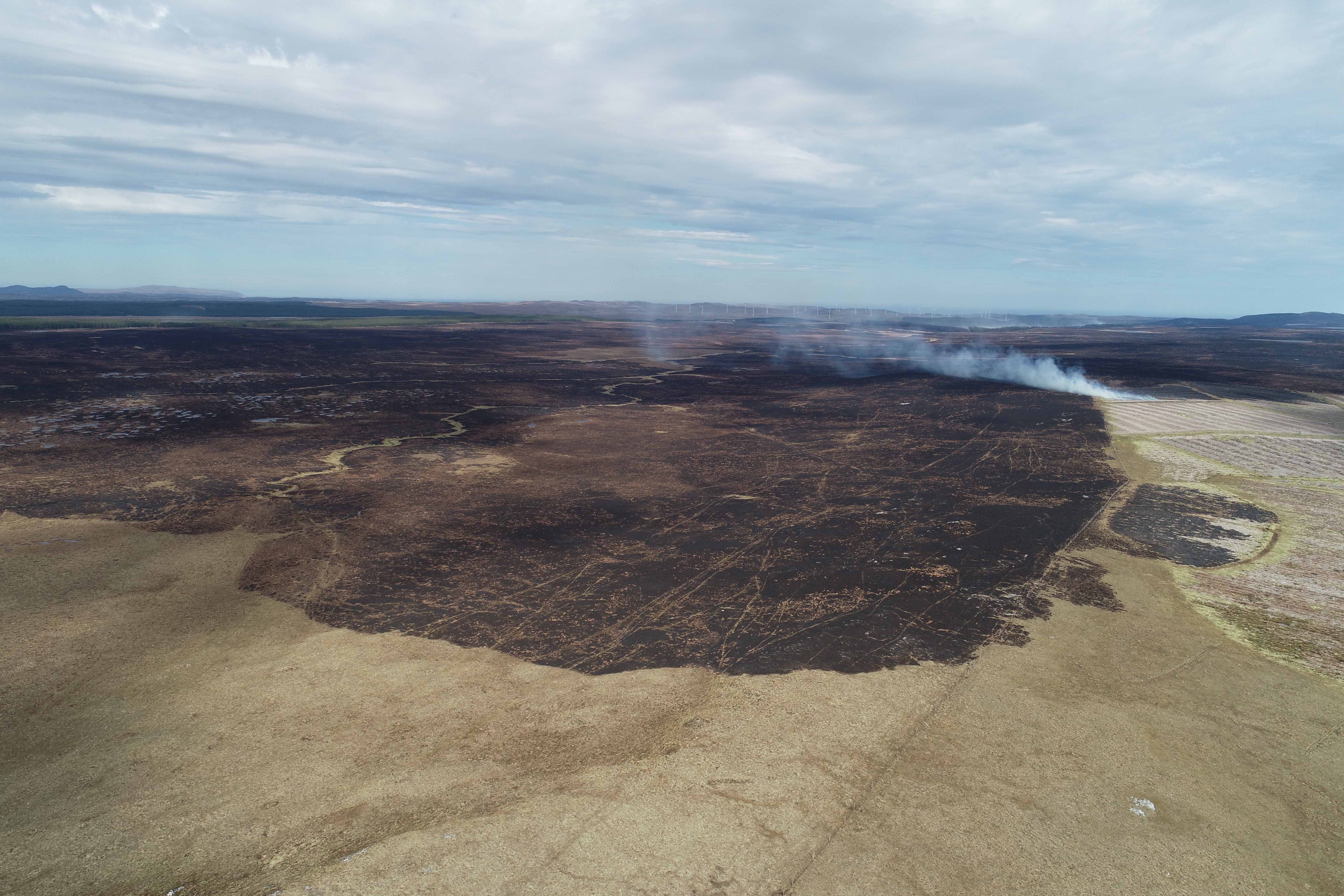 New study to explore impact of peatland wildfires