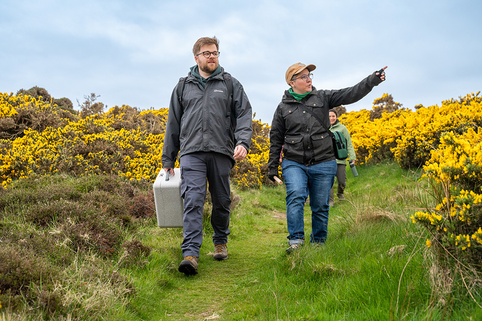 Researchers walking through a gorse field