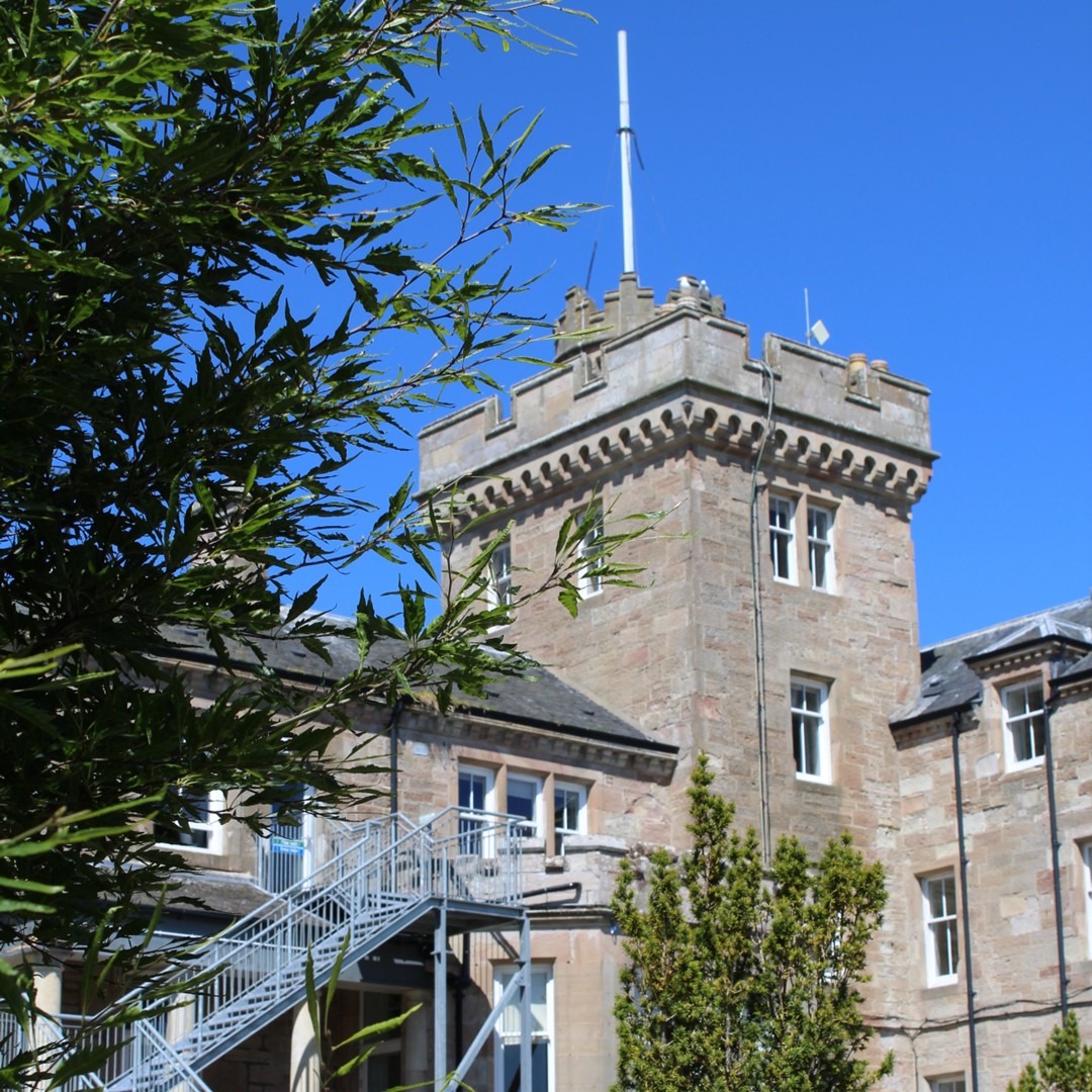 Building with a tower seen through leaves