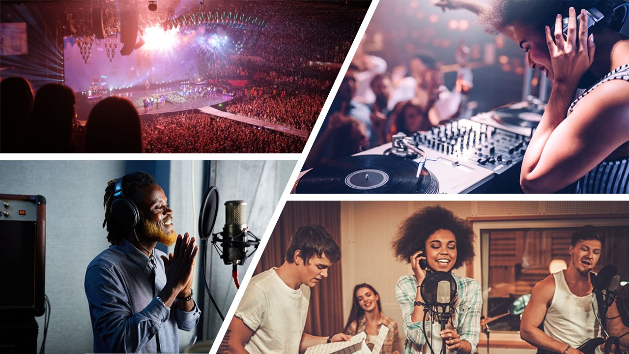 Musicians DJ live concert audience