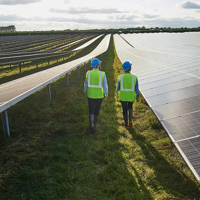 Two people walking past a solar panel array