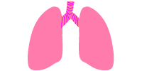 image of cartoon lungs