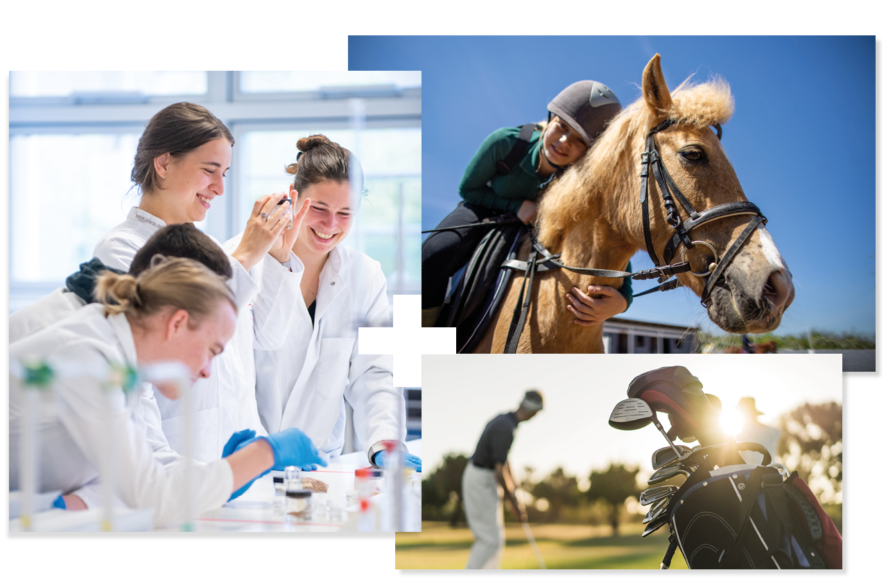 Collage of 3 | Students in a laboratory | Student on a horse | Student playing golf