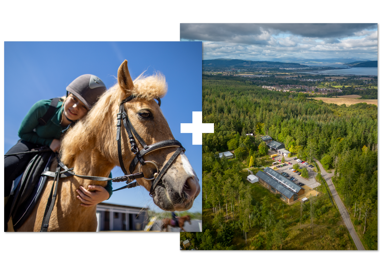 Collage of 2 | Equine studies | Forestry