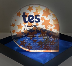 TES Award 2021 Trophy
